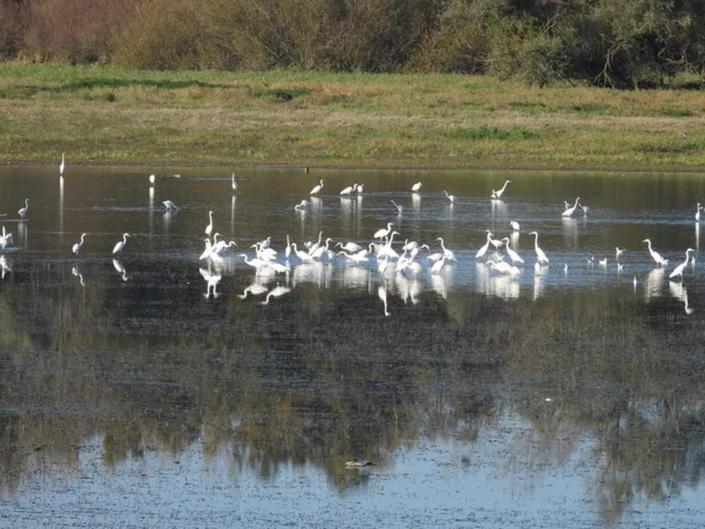lac de la vingeanne maryline commoy