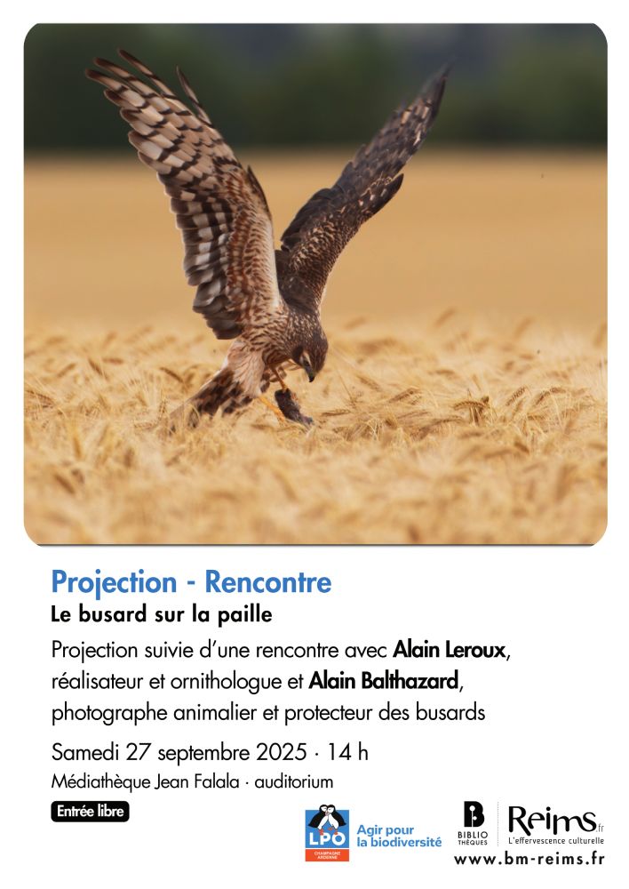 le busard sur la paille aff a3 2025