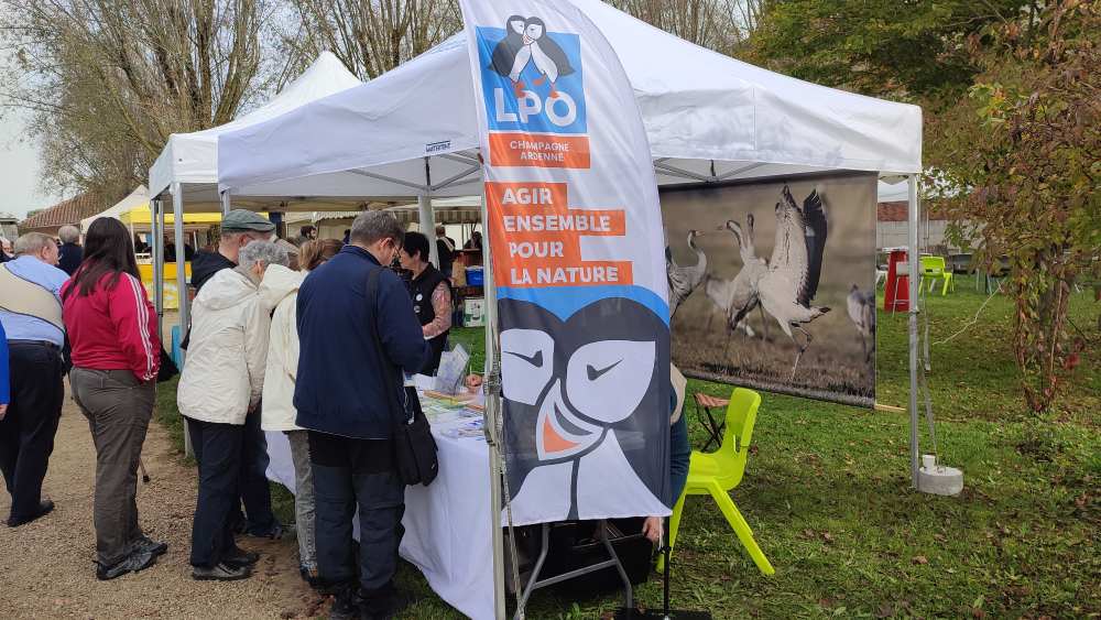 salon bio giffaumont 2024 1 domb