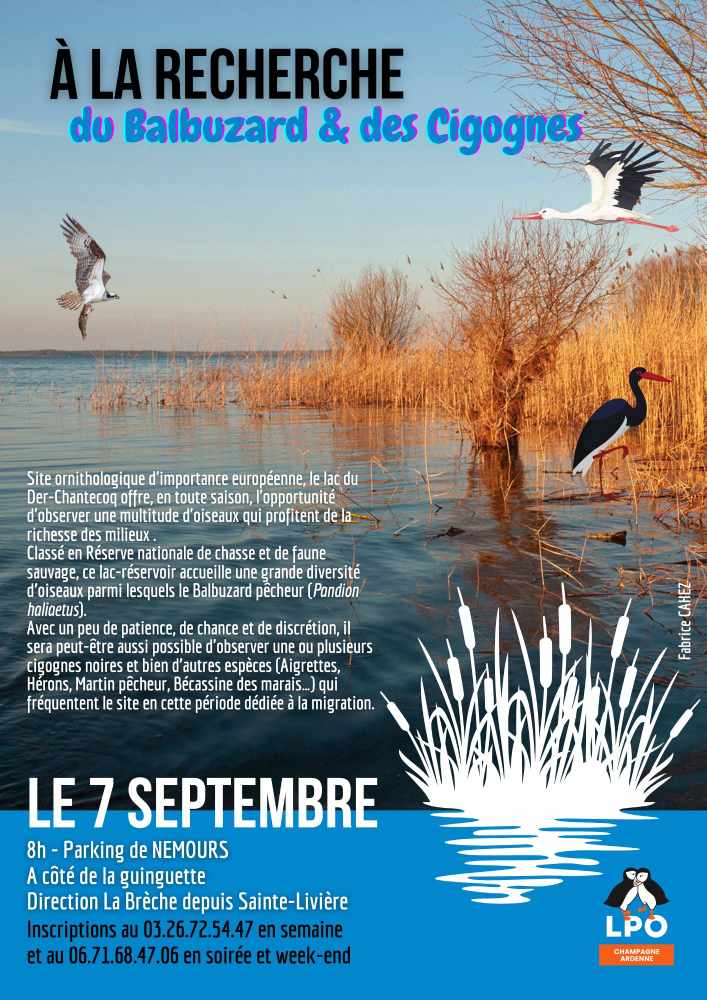 sortie balbu cigognes 2025