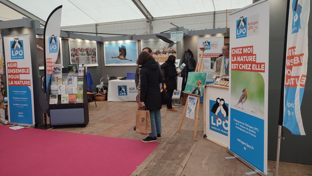 stand festival photo montier 2024