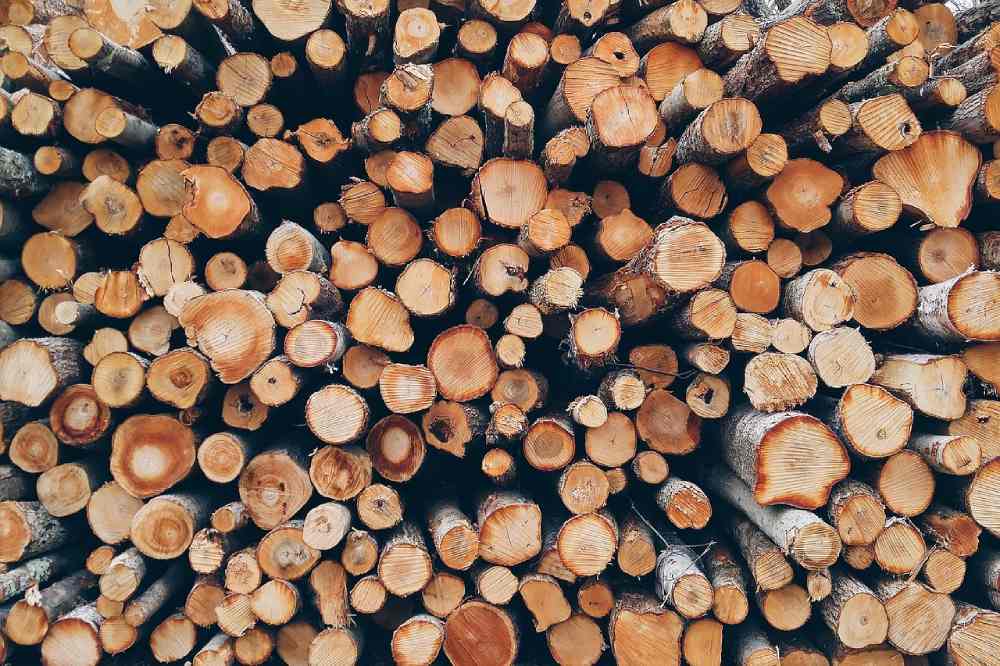 tas de bois pexels de pixabay