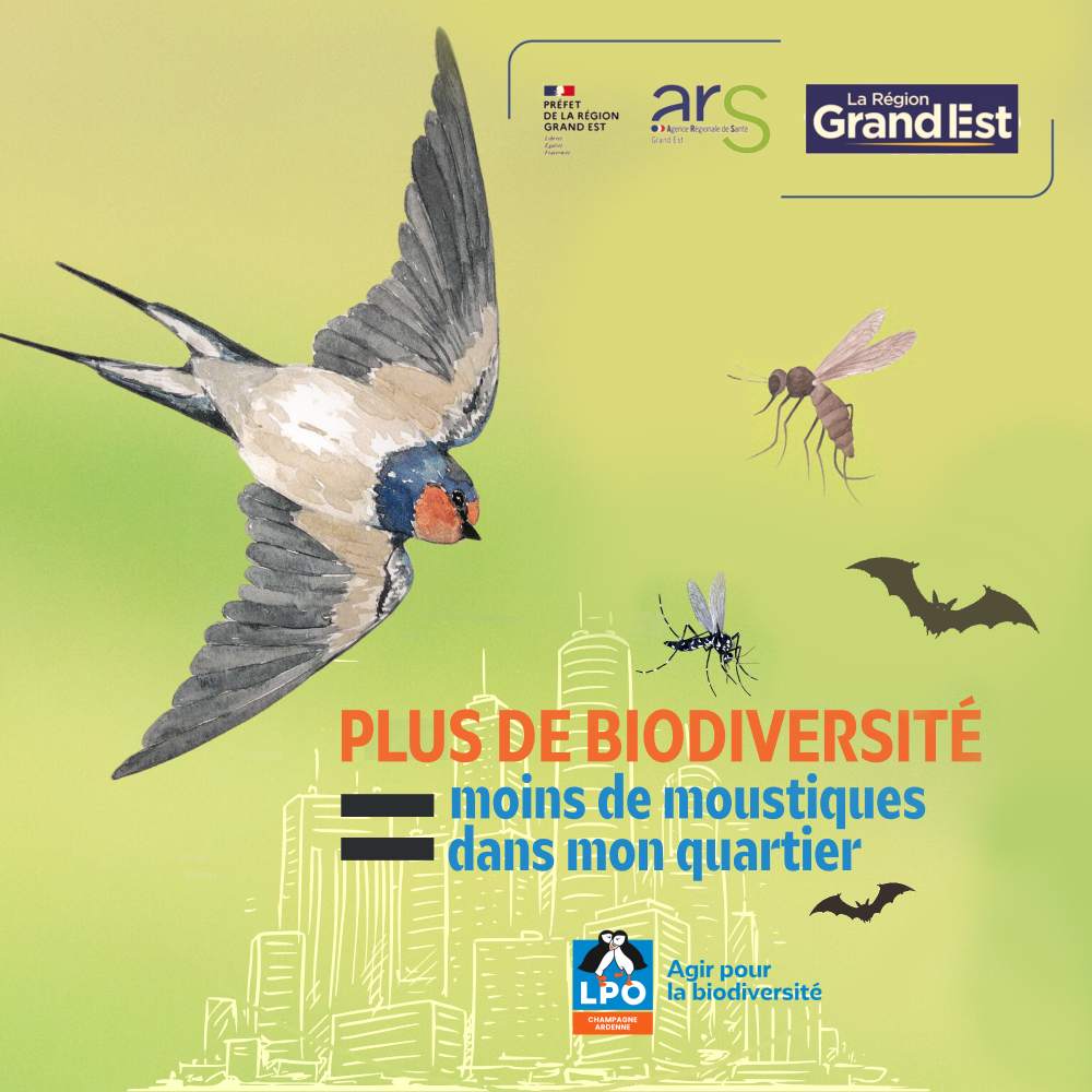 Affiche LPO C.A. visuel cp 1