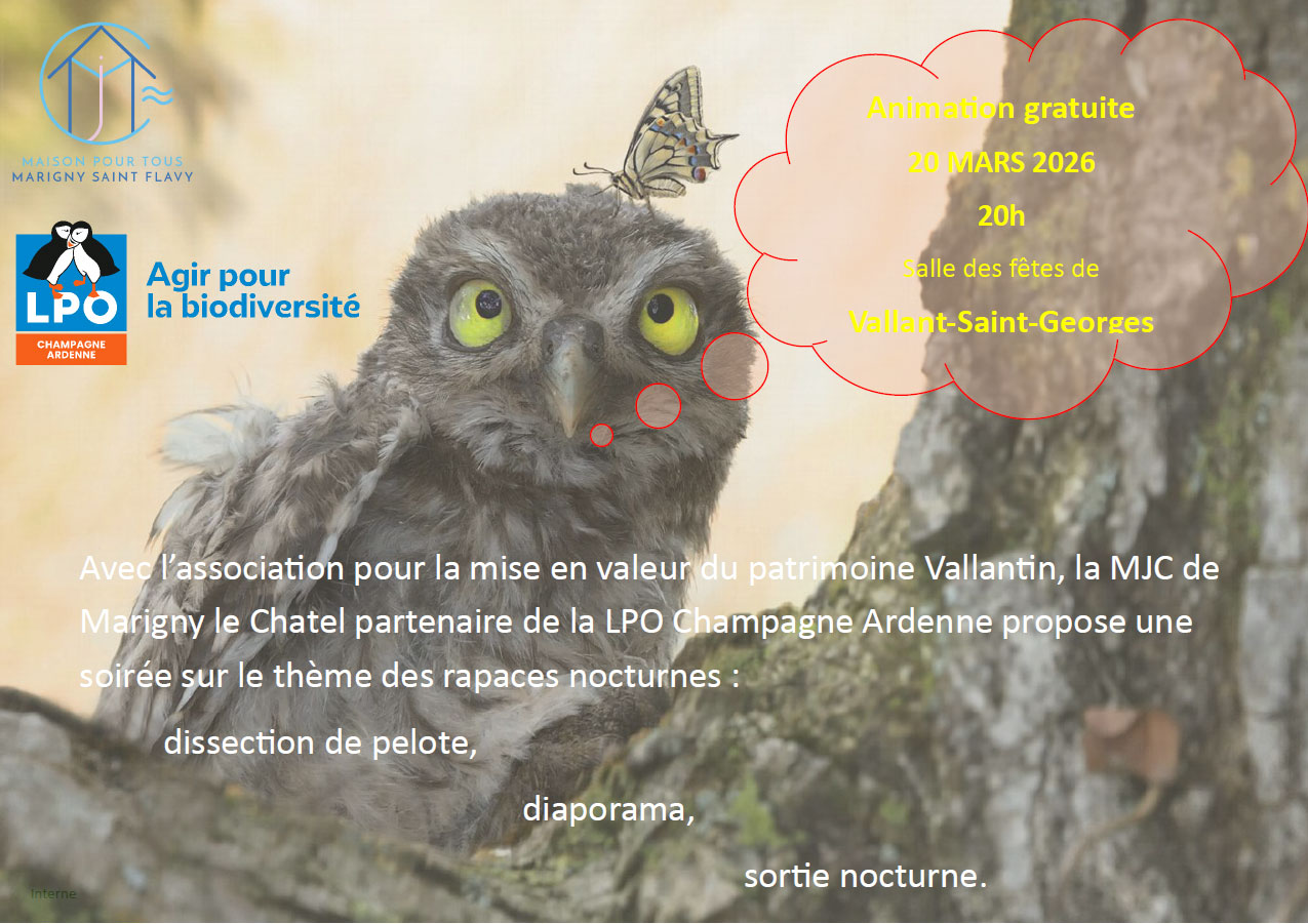 Animation rapaces nocturnes du 20 mars 2026 à Vallant-Saint-Goeorges (Aube)