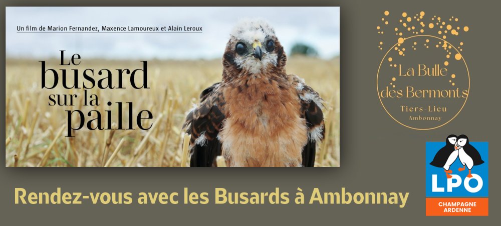 2026.05.16 rv busards ambonnay