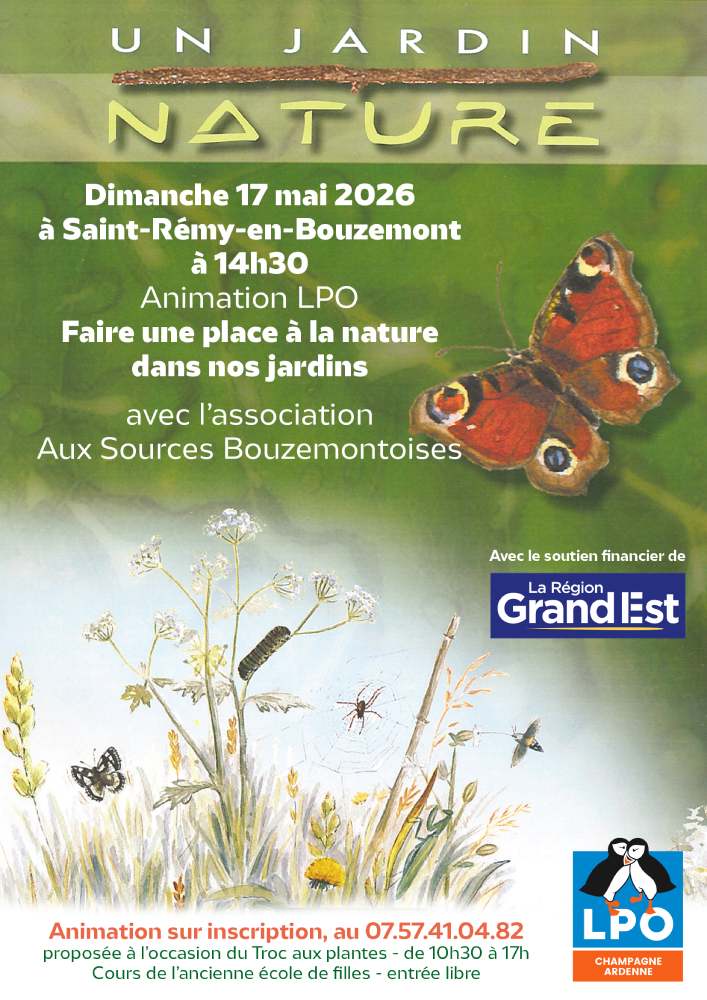2026.05.17 affiche anim