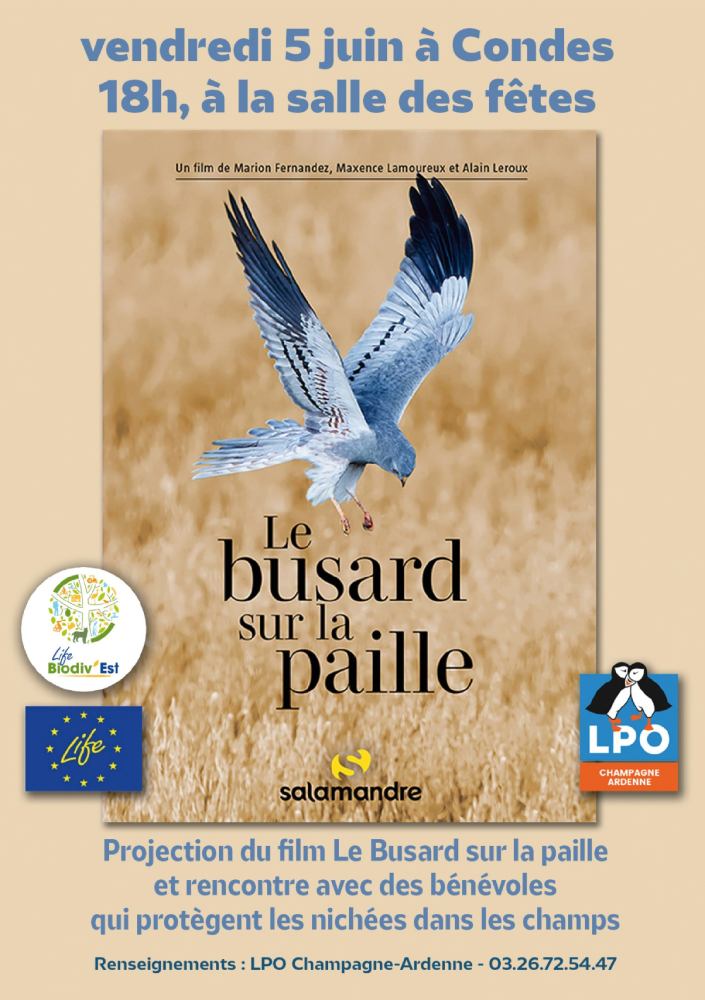 2026.06.05 busard condes affiche 1