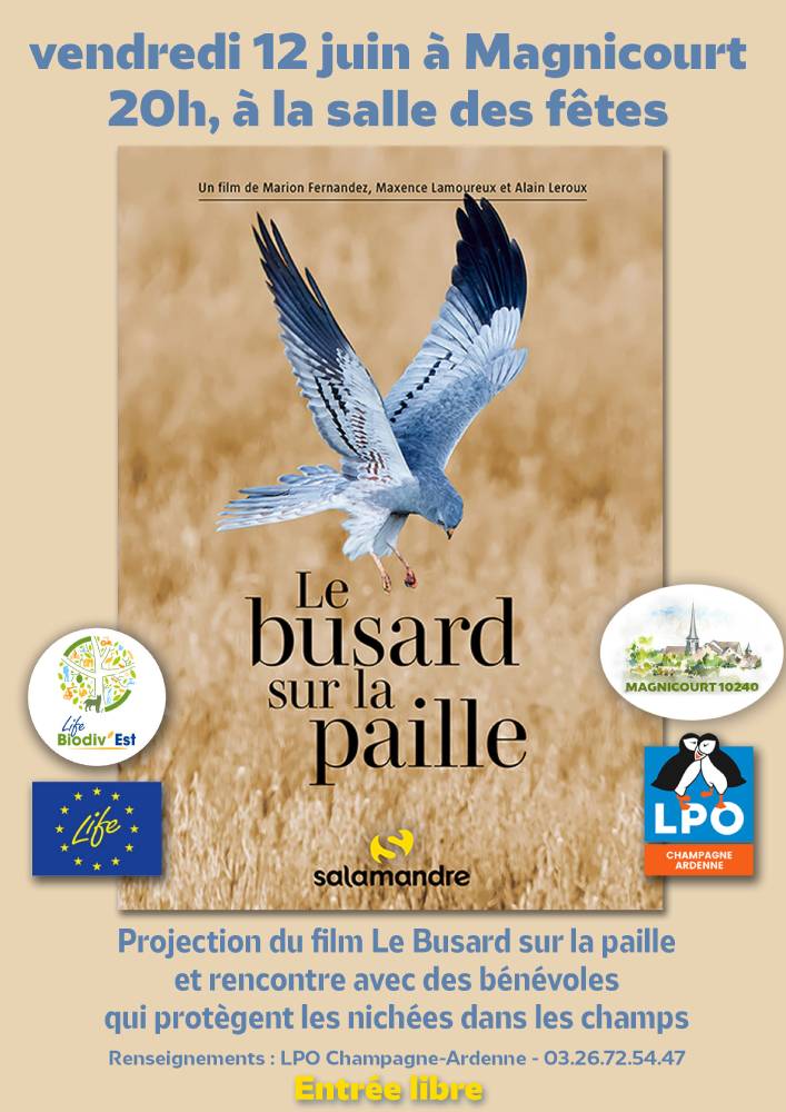2026.06.12 busard magnicourt affiche