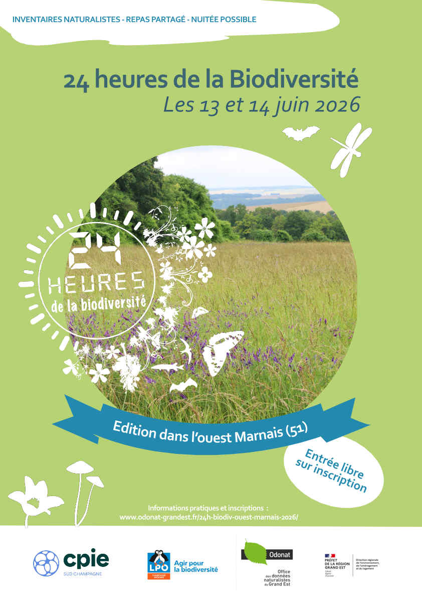 affiche et bandeau 24h champagne ardenne 2026