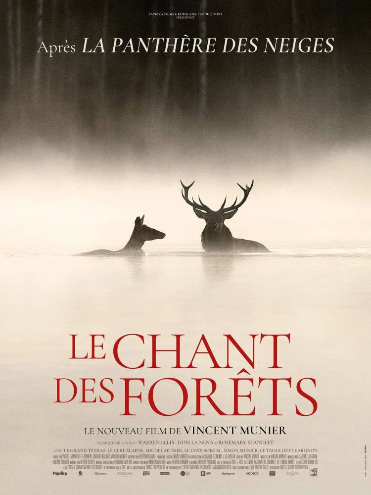 affiche le chant des forets