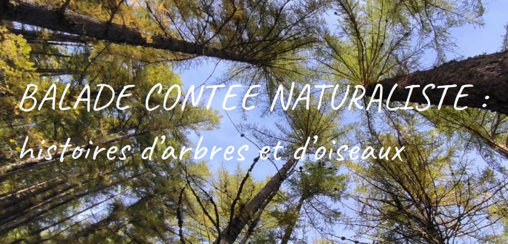 balade contee naturaliste