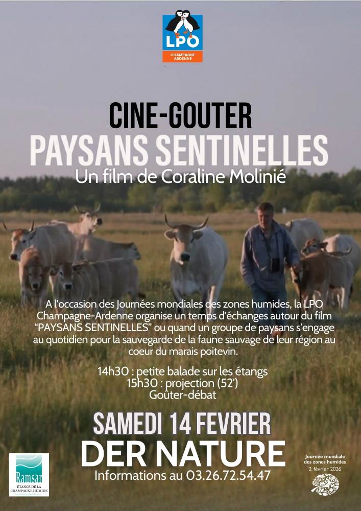 cine gouter jmzh 26