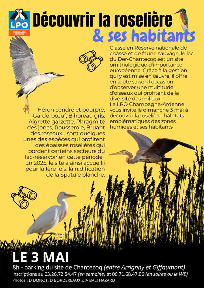 ecl sortie roseliere 2026