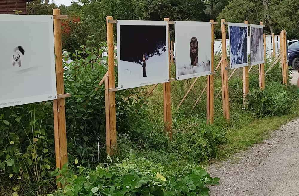 Photo DomB expo exterieure domb