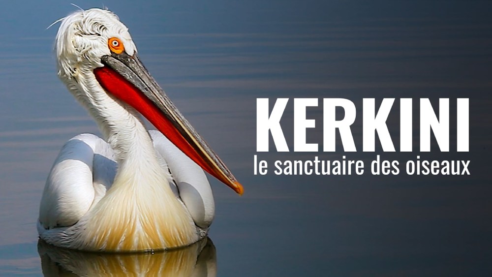 kerkini