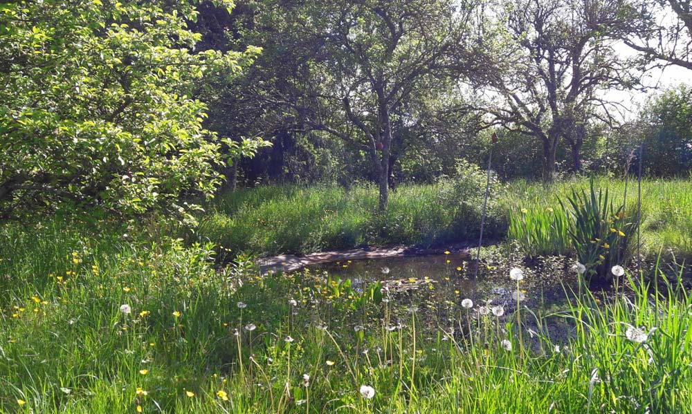 le pailly refuge