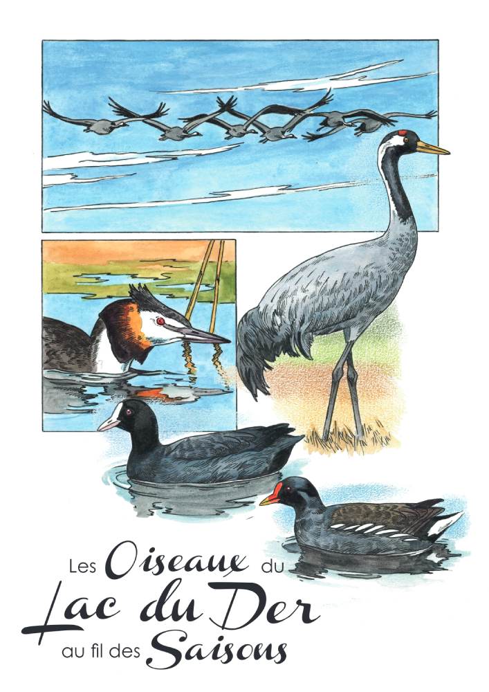 livre dominique gall au fil des saisons