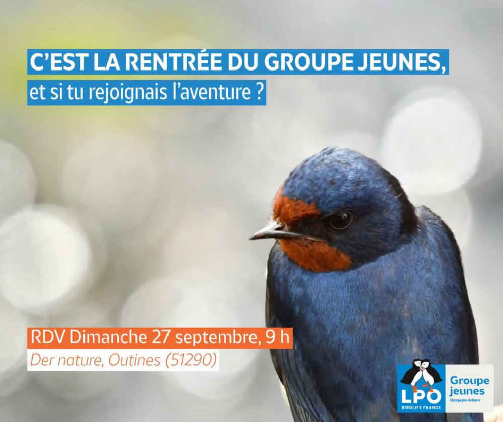 lpo groupe jeunes