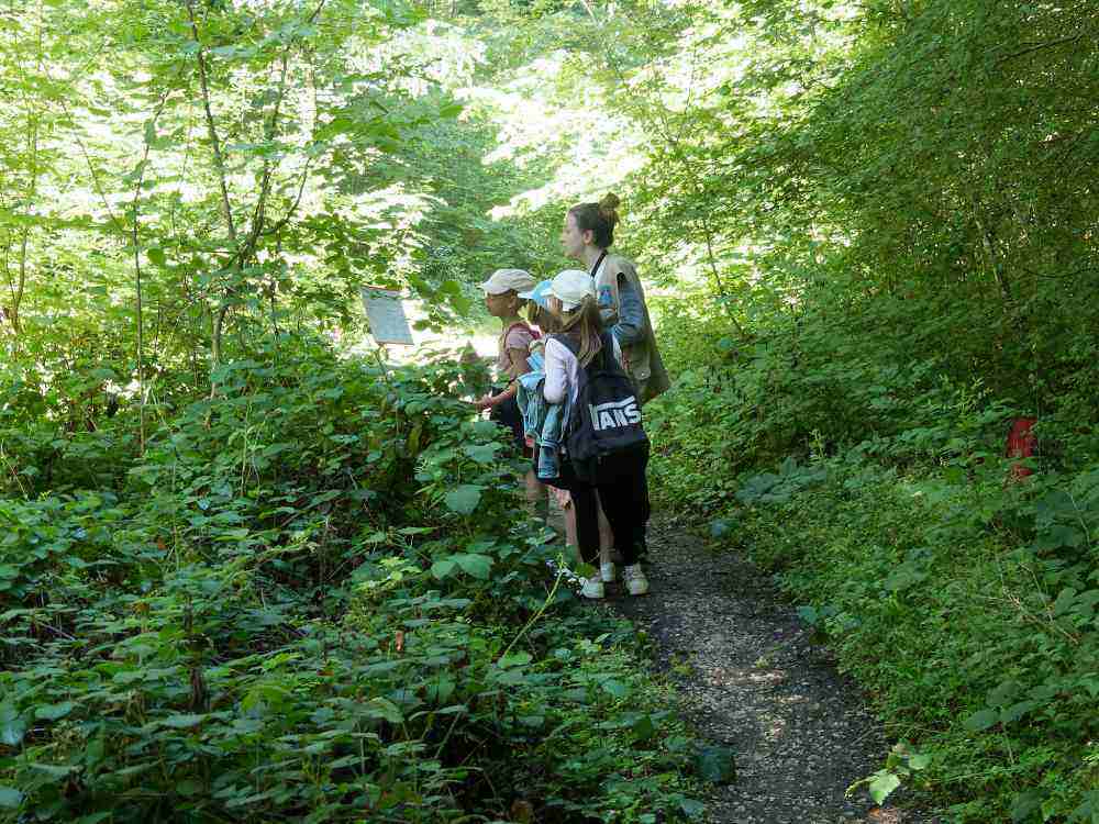 lpo jeu de piste domb