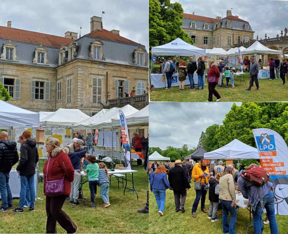 montage fdln trois fontaines 2025 domb