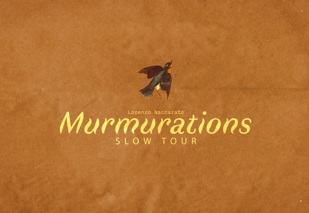 murmurations