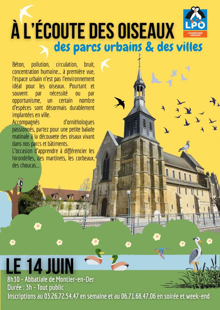 sortie montier en der