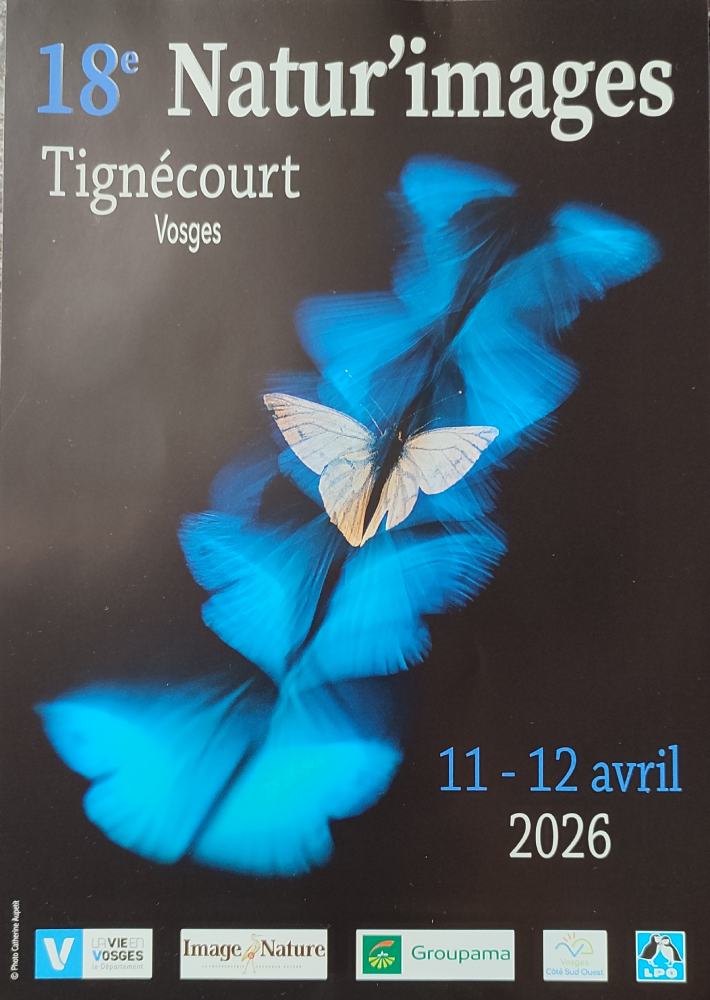 tignecourt 2026