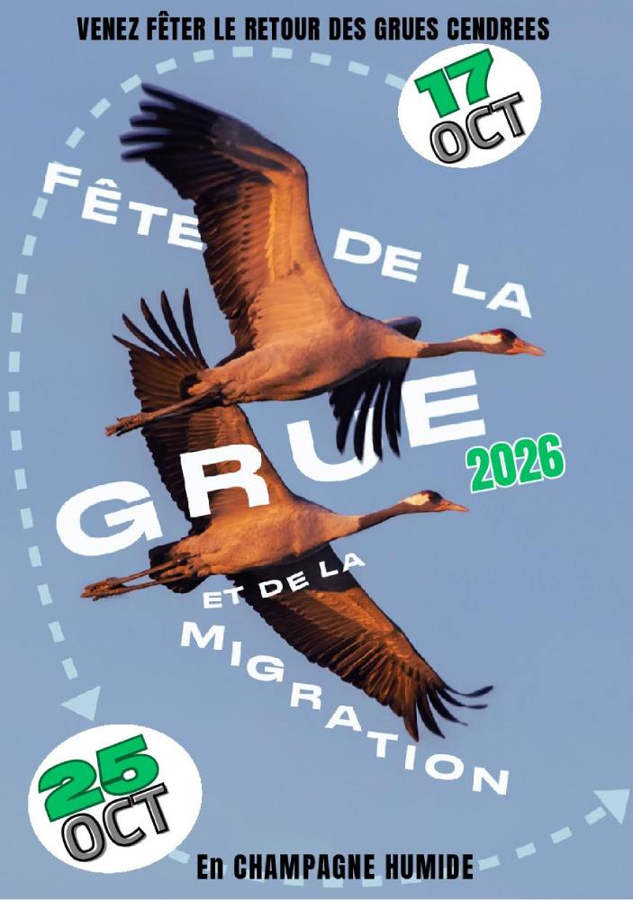 visuel flyer fdg 2026