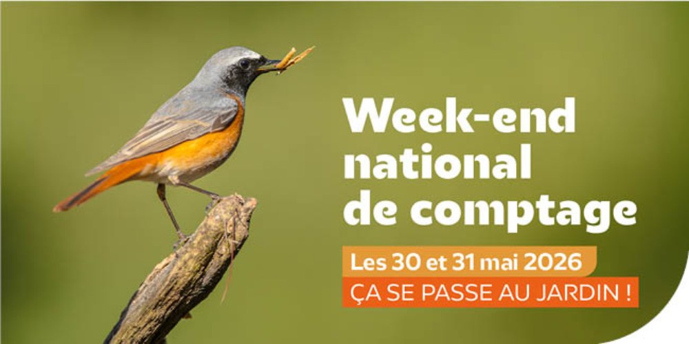 weekend comptage 30 31 mai 2026