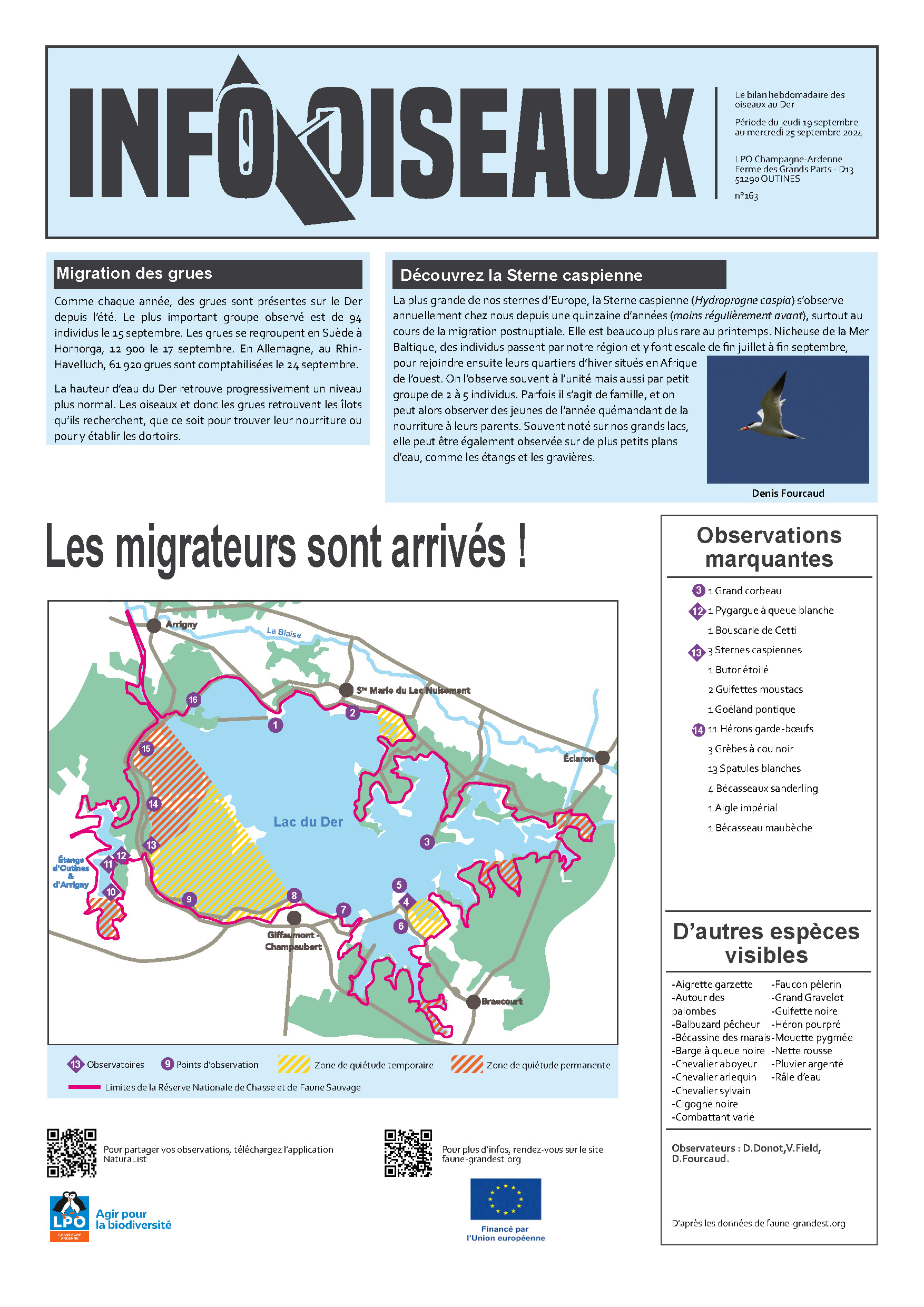 info oiseaux 162