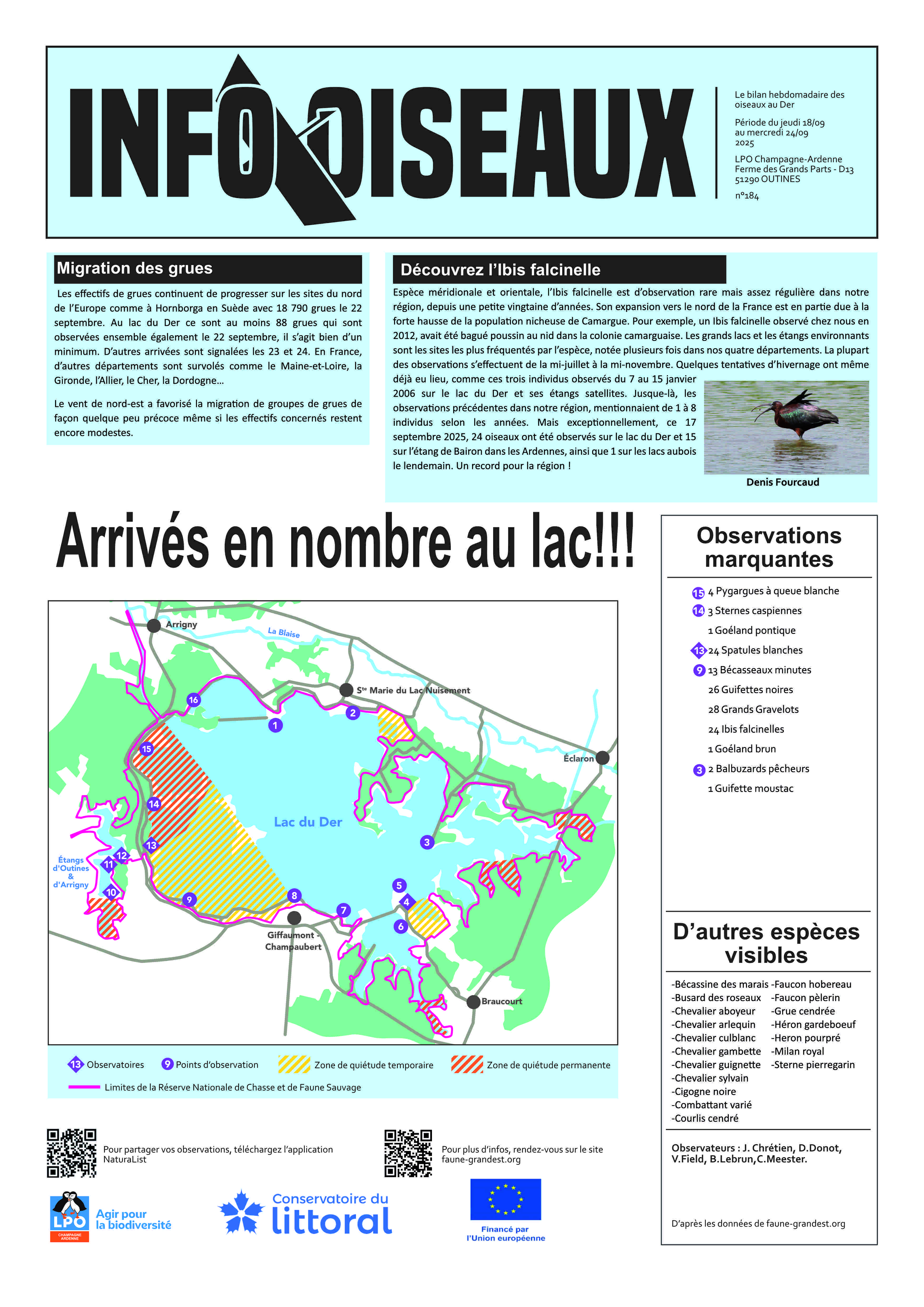 info oiseaux 25 09 24