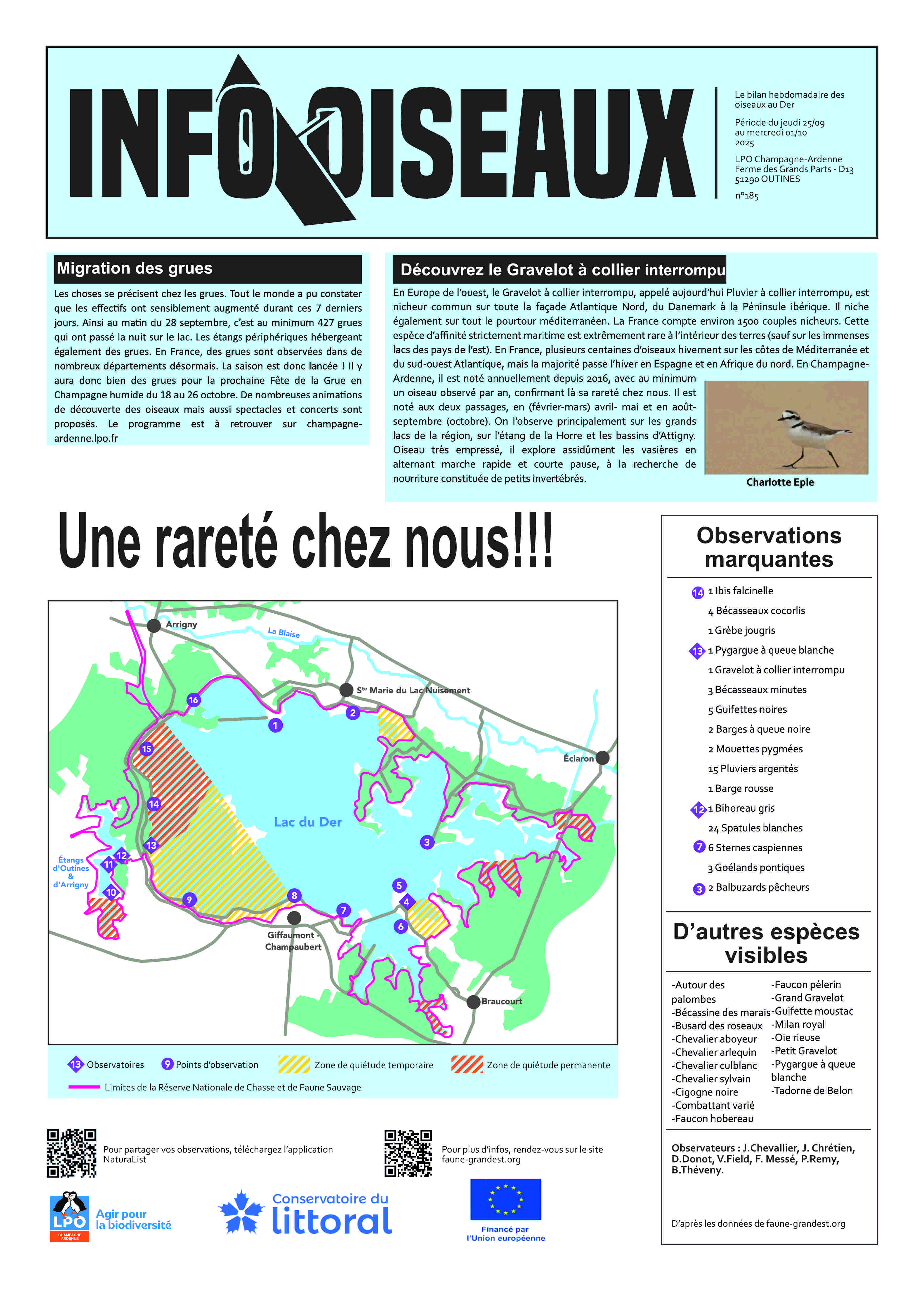 info oiseaux 25 09 24