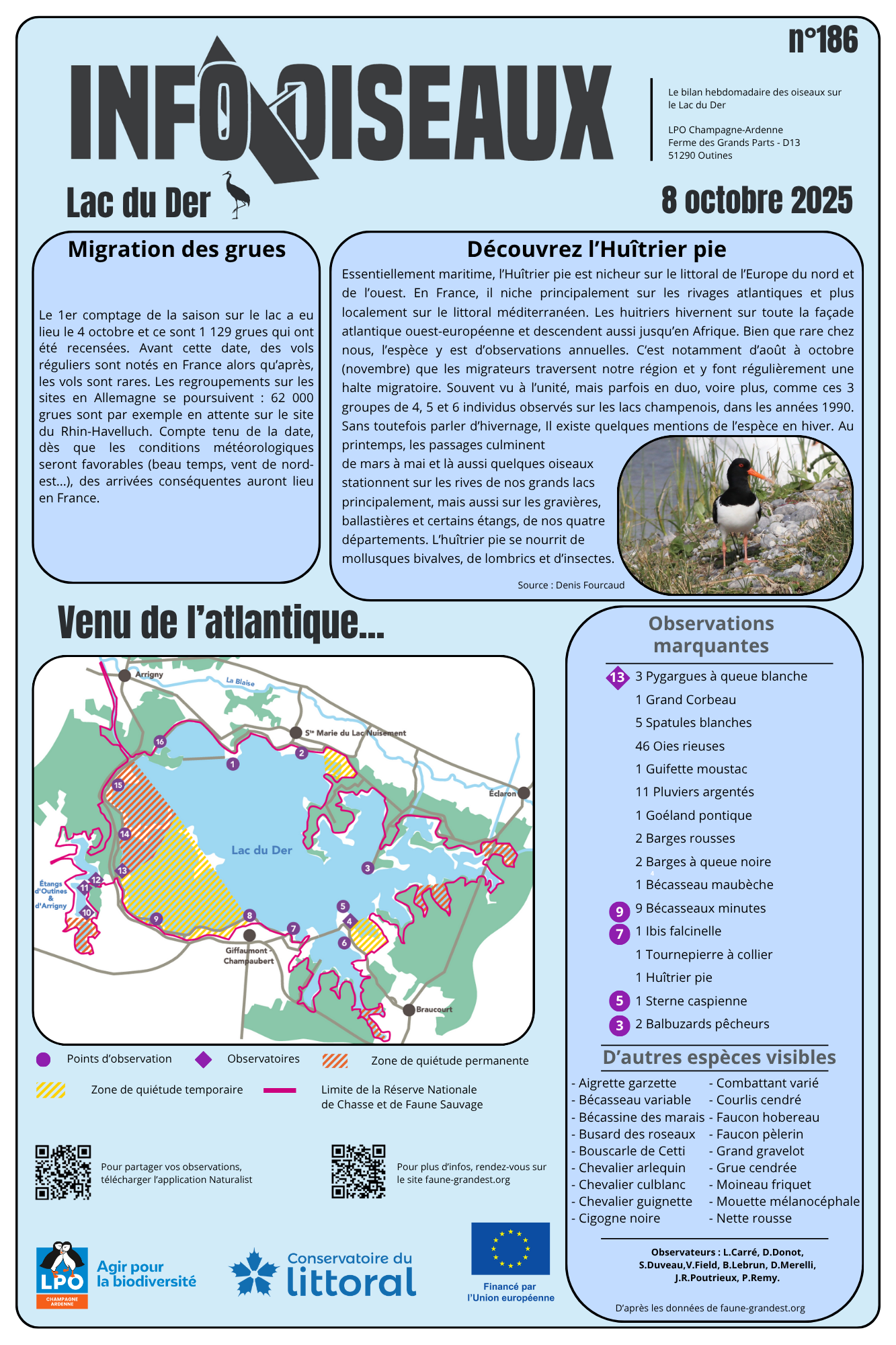 info oiseaux 25 10 08