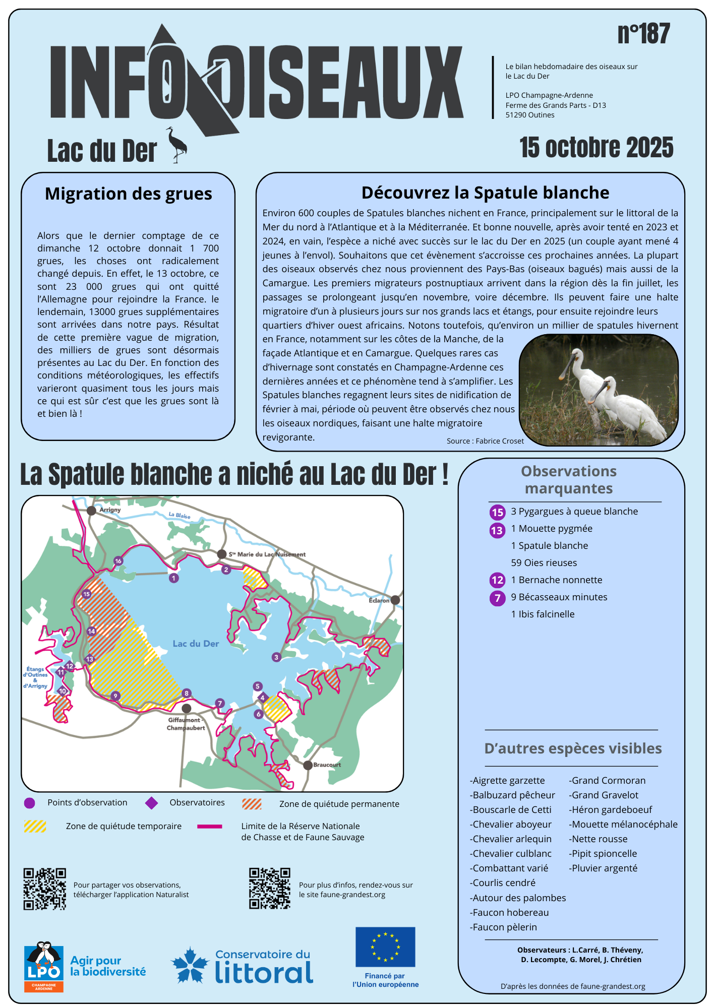 info oiseaux 25 10 08