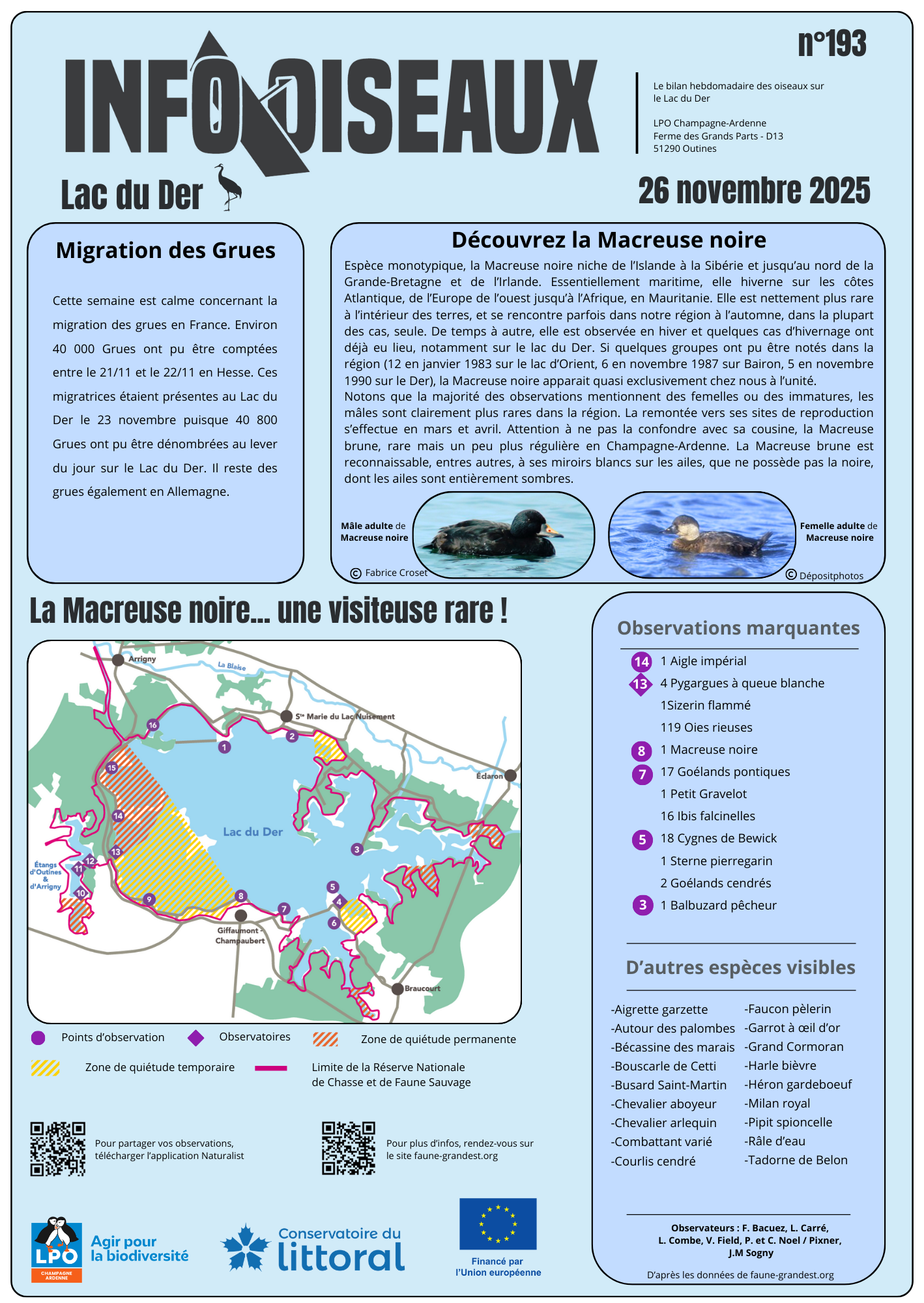 info oiseaux 193