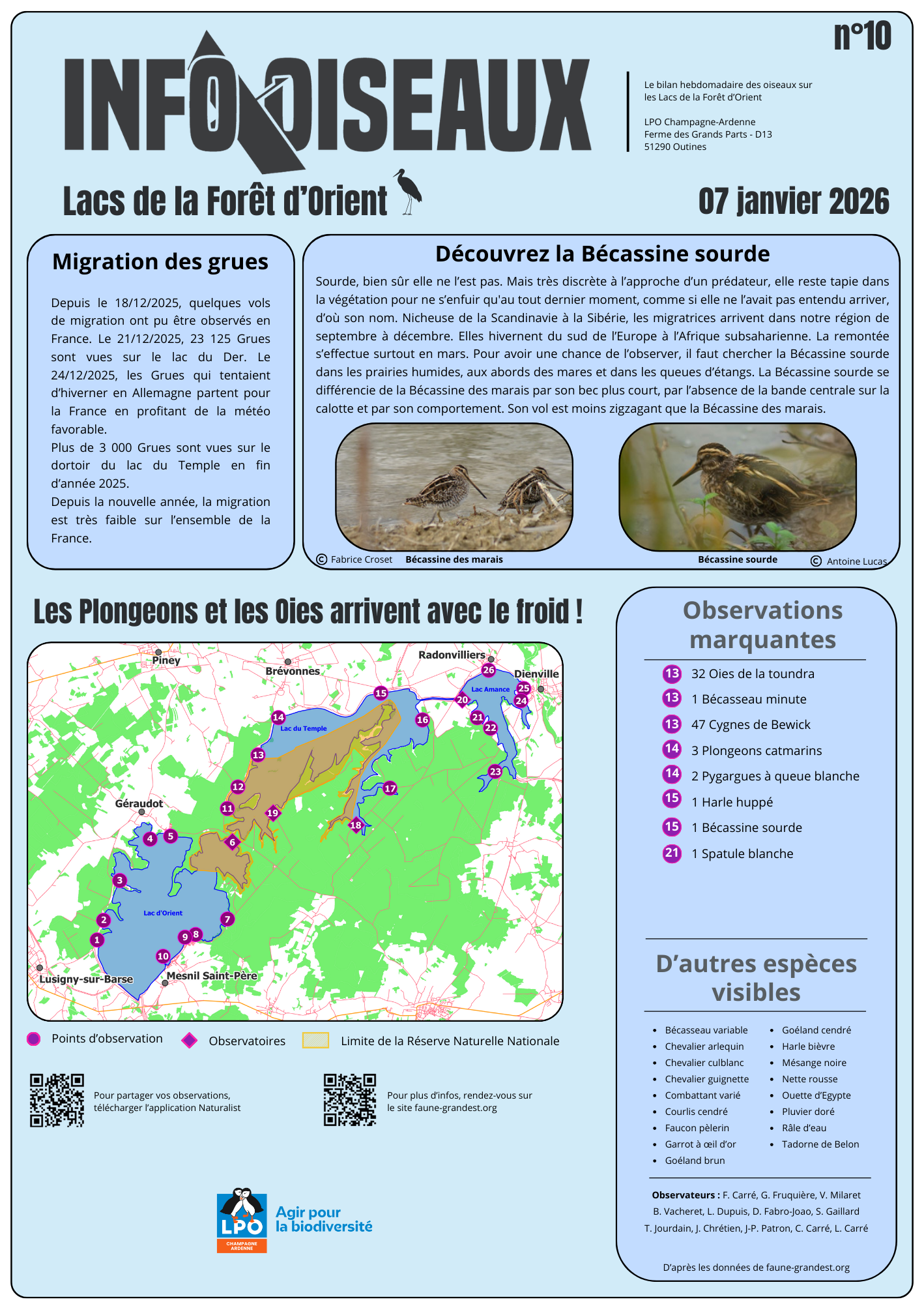 info oiseaux 10