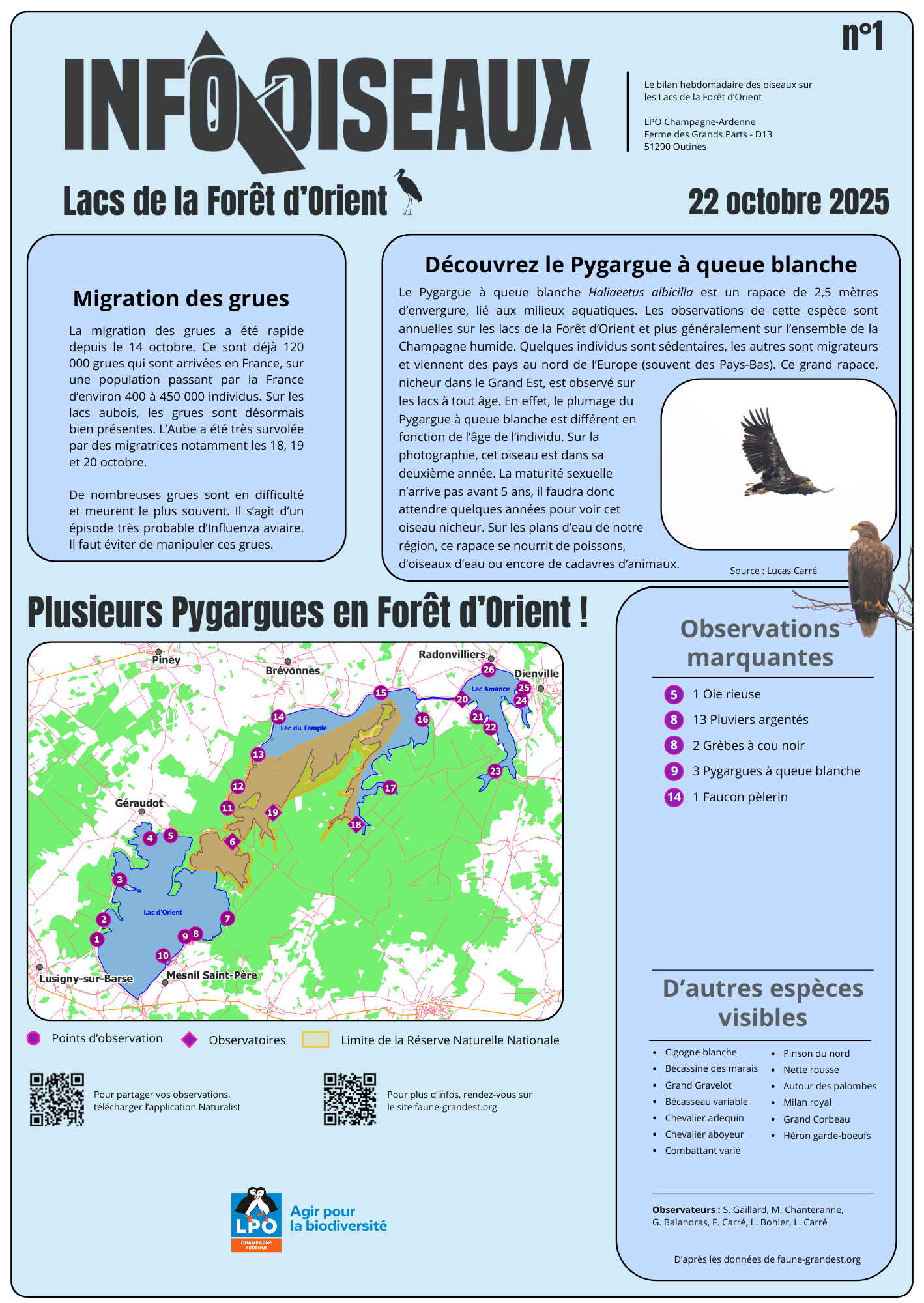 info oiseaux 25 10 22
