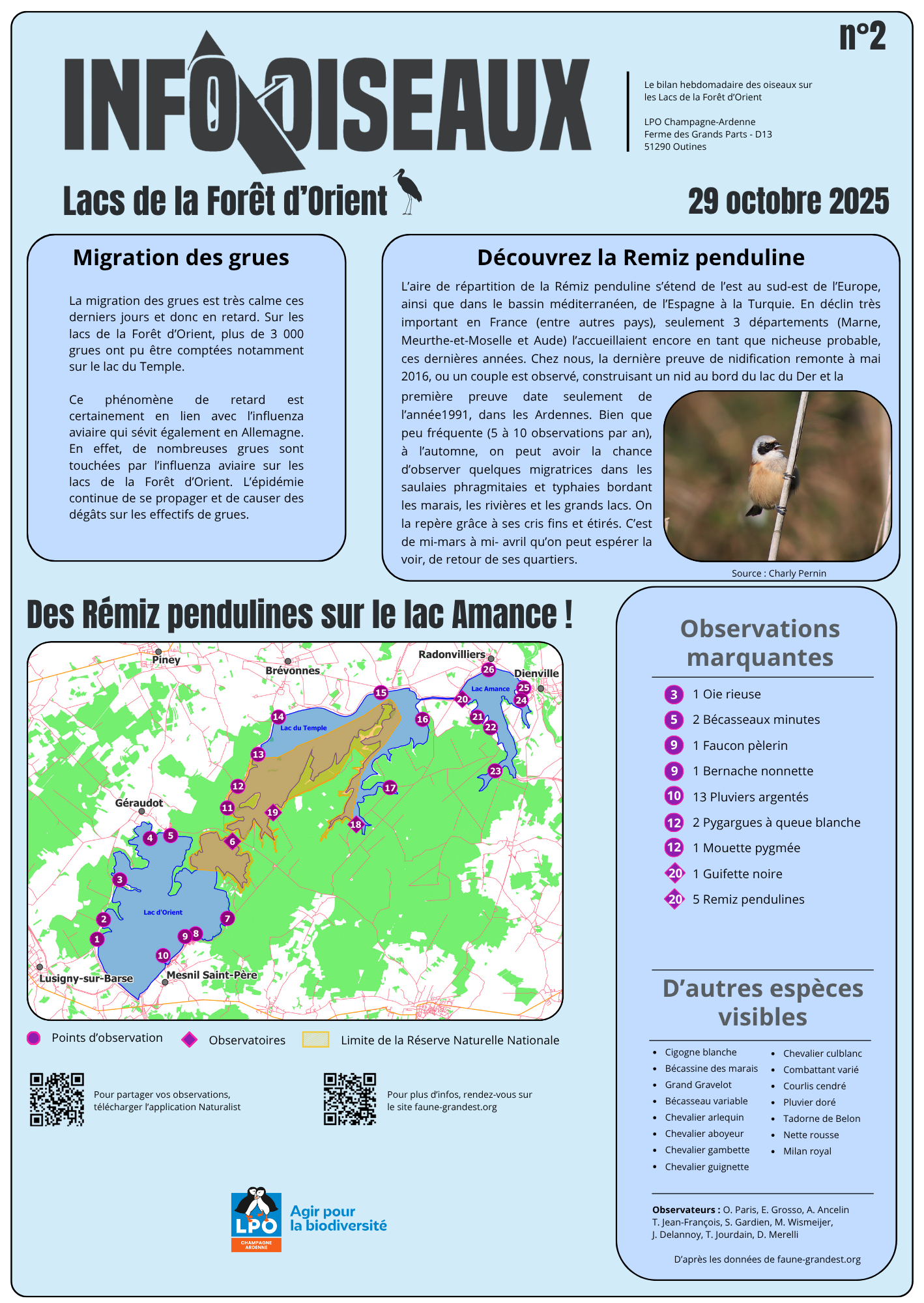 info oiseaux 25 10 30