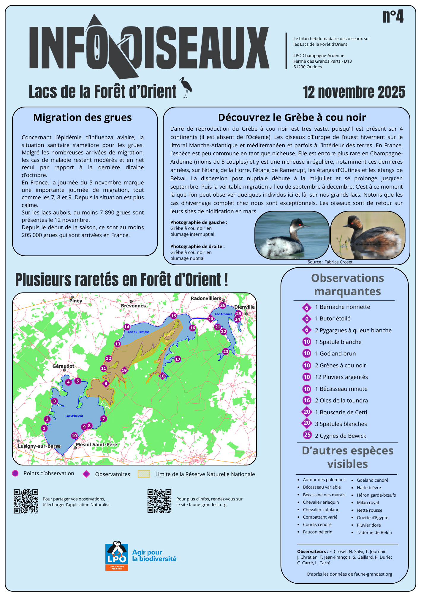 info oiseaux 4