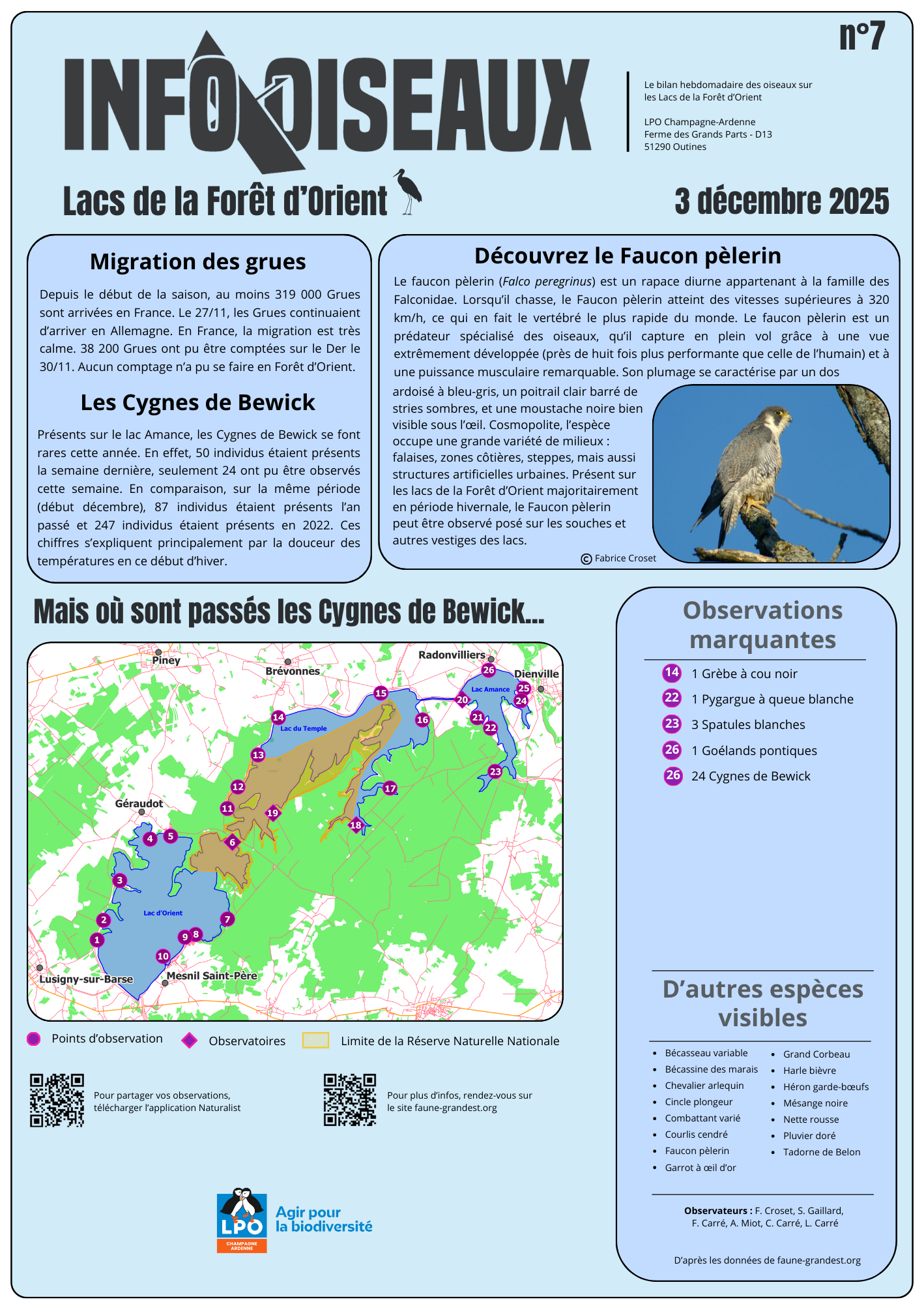 info oiseaux 7