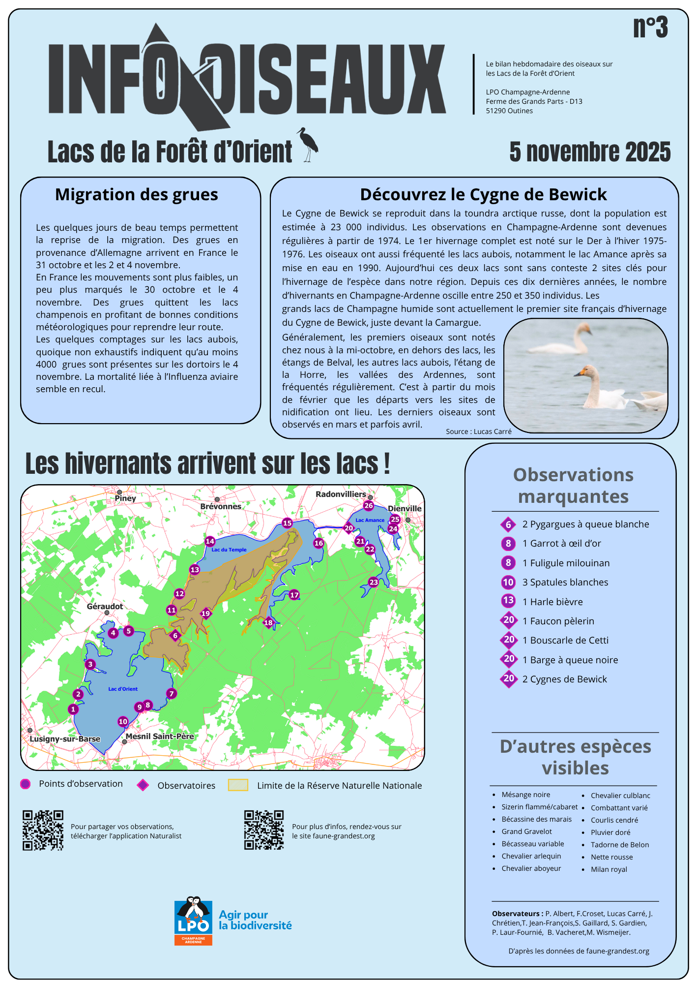 info oiseaux 3