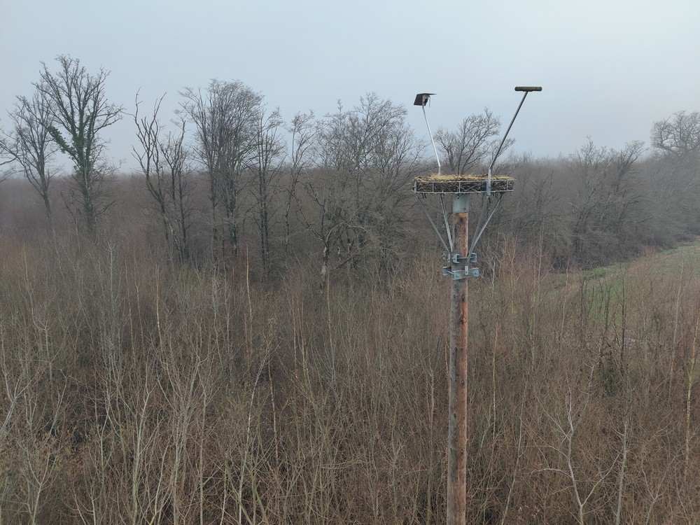 Plateforme artificielle en faveur du Balbuzard pêcheur installée dans la Marne par la LPOCA et Rte ©LPOCA plateforme balbu red lpoca .2026